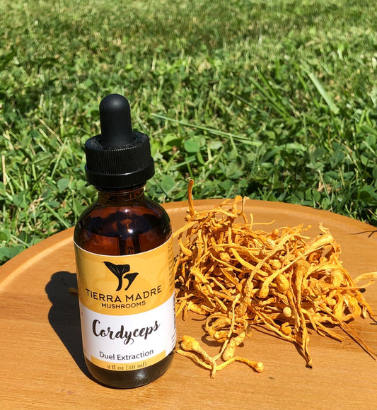 Cordyceps Extract 2 oz Tincture Tierra Madre Mushrooms