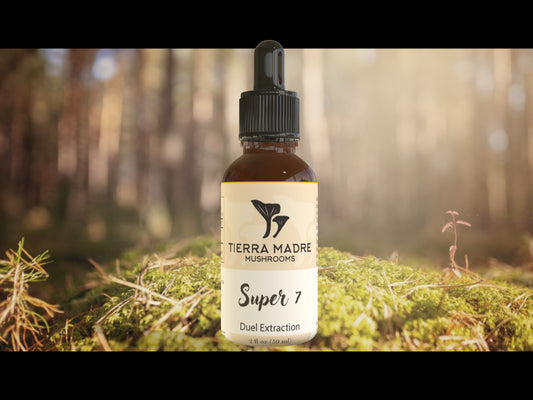 Super 7 Blend 2oz Tincture Tierra Madre Mushrooms